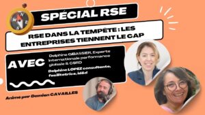 rse dans la tempête rse dans la tempête